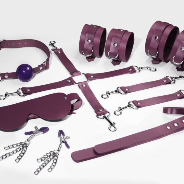 Набір Feral Feelings BDSM Kit 7 Burgundy, наручники, поножі, конектор, маска, падл, кляп, затискачі