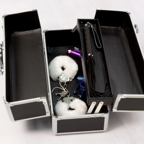 Кейс для зберігання секс-іграшок BMS Factory - Large Lokable Vibrator Case Black