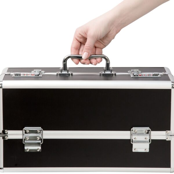 Кейс для зберігання секс-іграшок BMS Factory - Large Lokable Vibrator Case Black