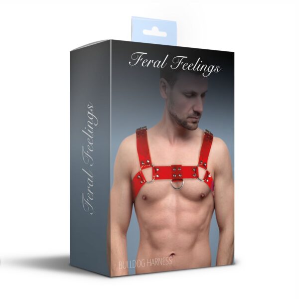 Чоловіча портупея на груди Feral Feelings - Bulldog Harness Red Trasparent