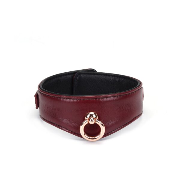 Нашийник з повідцем Liebe Seele Wine Red Curved Collar