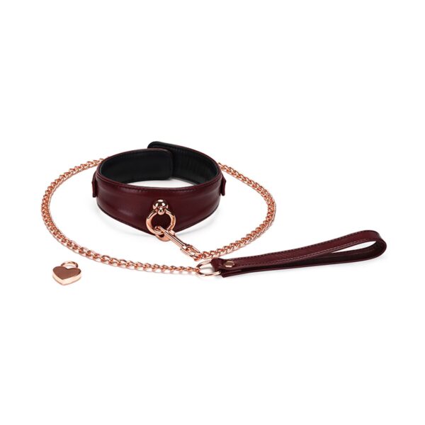 Нашийник з повідцем Liebe Seele Wine Red Curved Collar