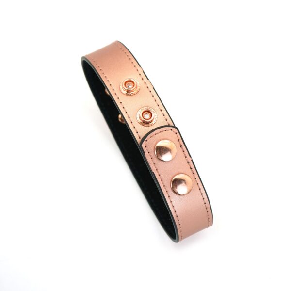 Нашийник із затискачами для сосків Liebe Seele Rose Gold Memory Collar with Nipple Clamps