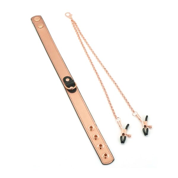 Нашийник із затискачами для сосків Liebe Seele Rose Gold Memory Collar with Nipple Clamps